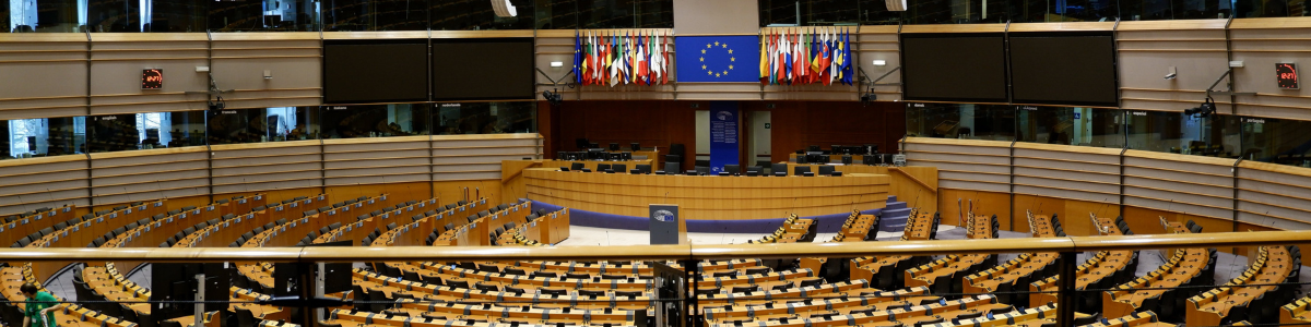 Union Européenne - Observatoire européen de la diversité