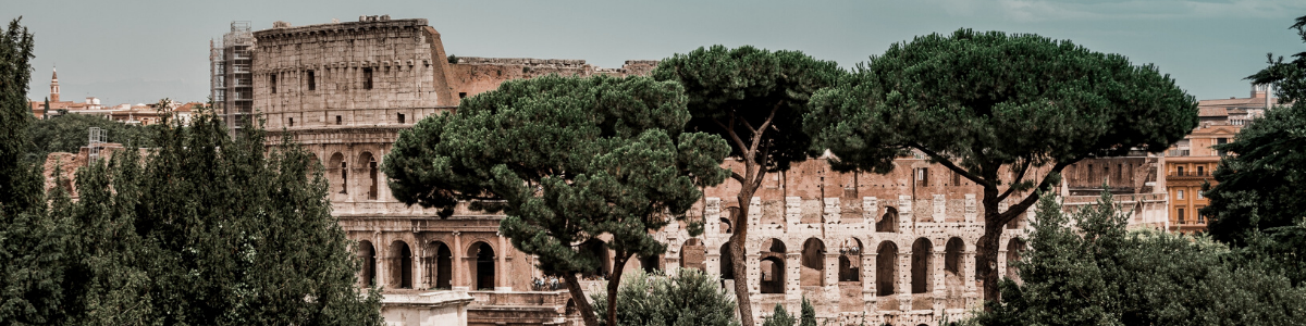 Vue sur le Colisée de Rome