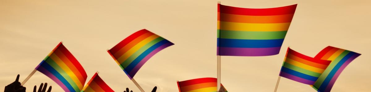 RSE & Diversité - LGBT